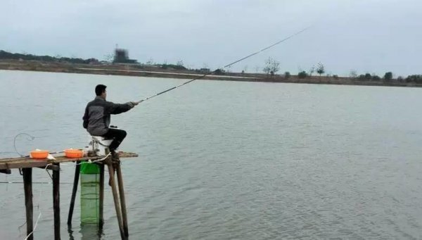 钓鱼什么时候提杆最好用