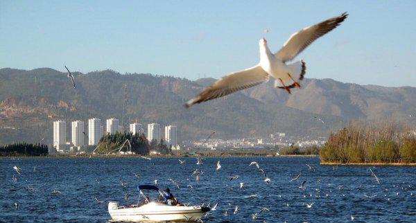 云南昆明宜居吗