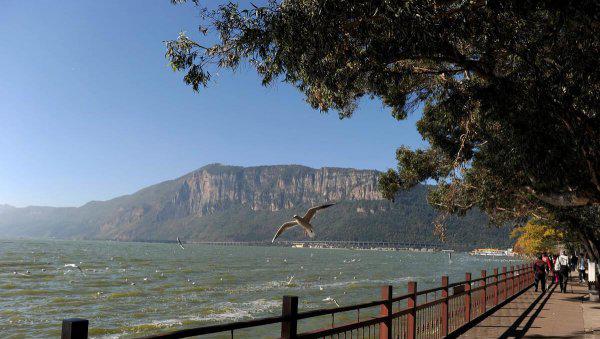 云南昆明宜居吗