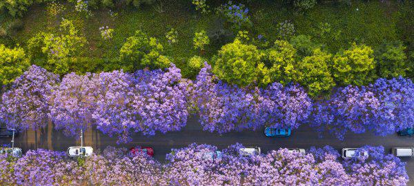 云南昆明宜居吗