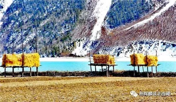 然乌湖海拔多少米高