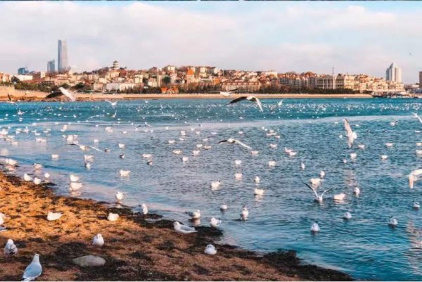 青岛有什么好玩的地方景点推荐