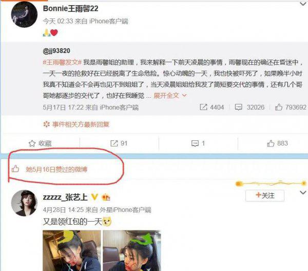 张艺上的个人资料介绍