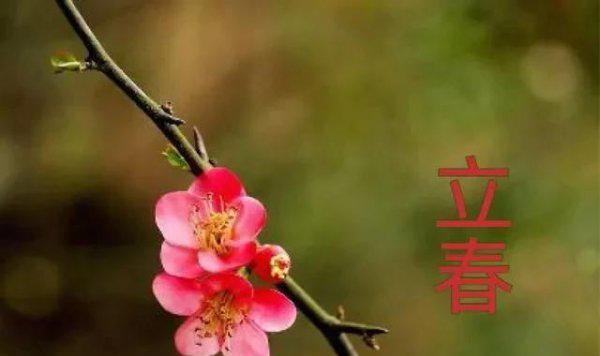 打春可以睡觉吗