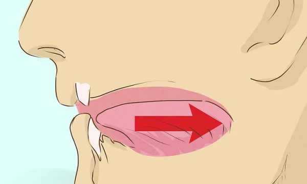 初学者怎么吹口哨用嘴