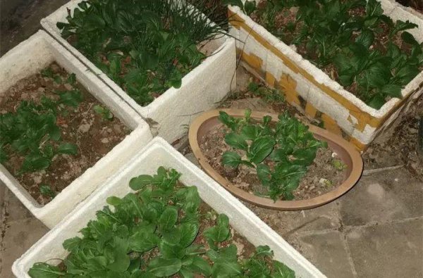 高层顶楼的房子优缺点