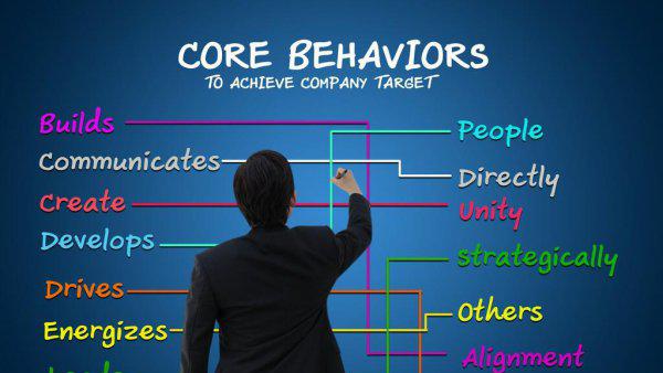 财务主要负责什么工作