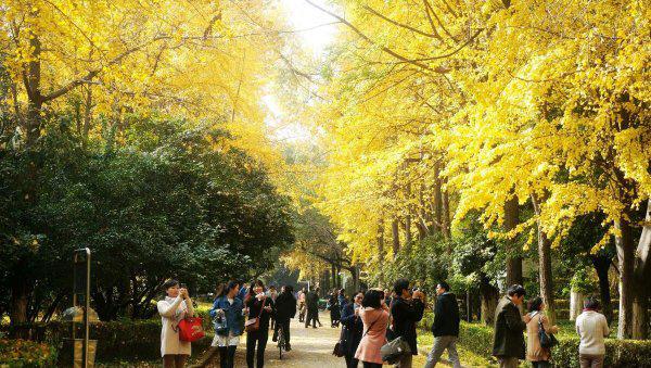 华东五校是哪五所学校