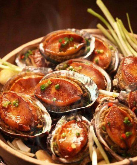 鲍鱼是什么样子的