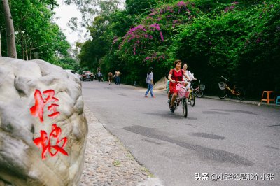 厦门怪坡在什么地方 传说中的厦门怪坡究竟奇怪在哪里