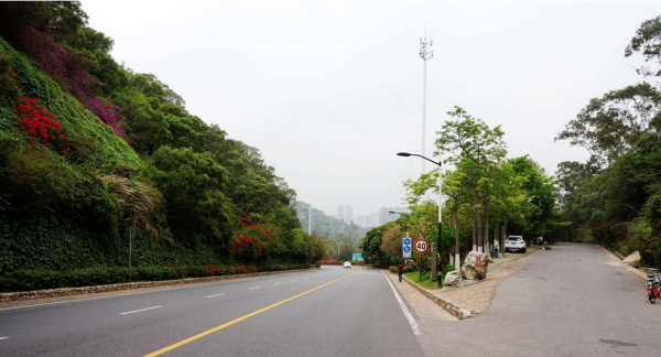 厦门怪坡在什么地方