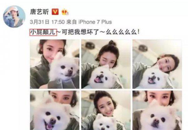 张若昀个人简历资料