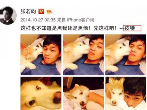 张若昀个人简历资料