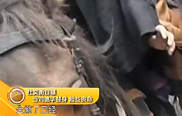 演员杜奕衡个人资料简介