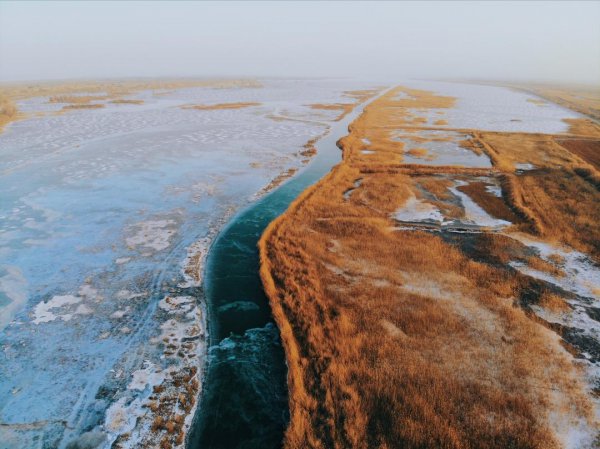 我国四大盆地分别是什么地形地貌