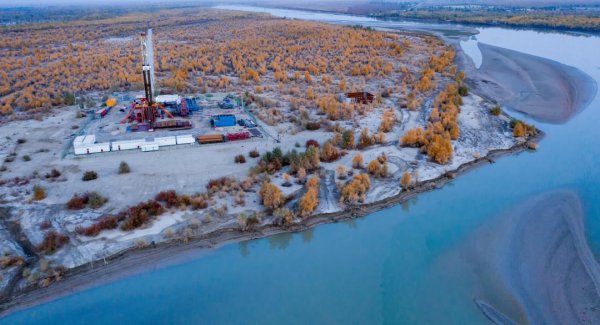 我国四大盆地分别是什么地形地貌