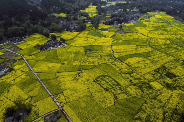 我国四大盆地分别是什么地形地貌