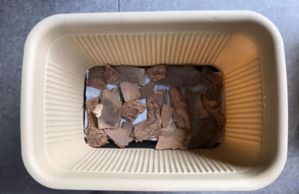 买的营养土还用掺土吗