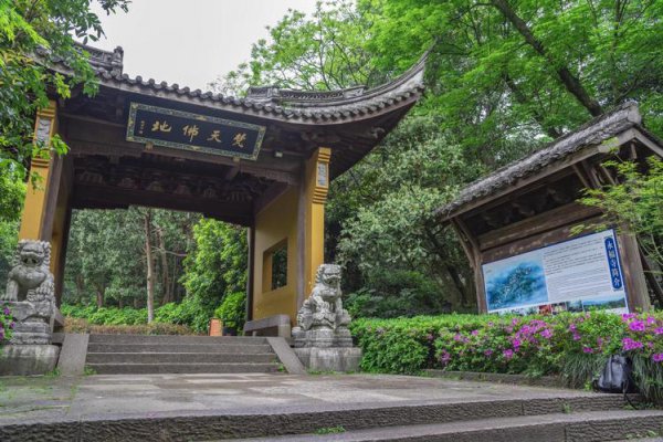 登飞来峰情感表达是怎样的