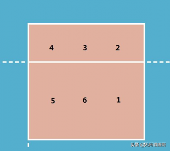 常见的排球位置分布 排球比赛中位置排列的专业术语简介