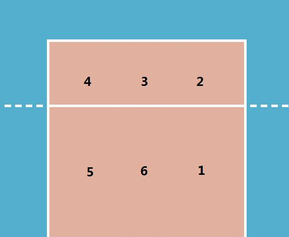 常见的排球位置分布