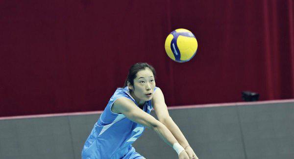 常见的排球位置分布