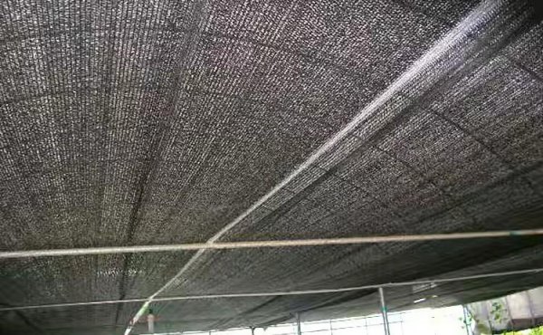 顶楼热有什么办法解决