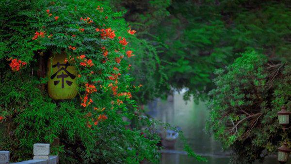 苏州晚上夜景哪里好玩