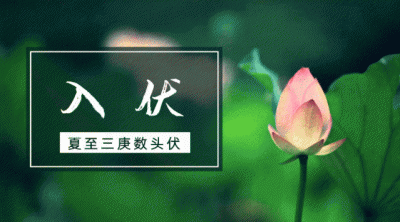 伏天一共有多少天 三伏天确定下来后为何天数不确定