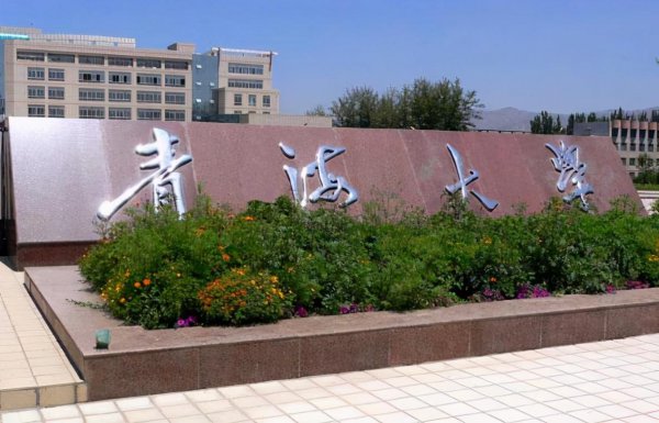 西藏大学在哪里