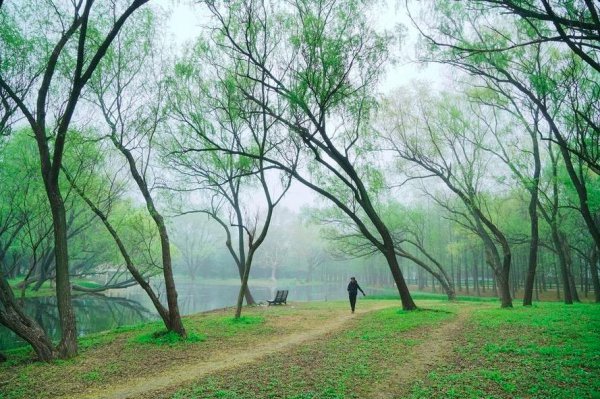 早春呈水部张十八员外的诗意