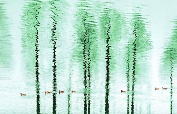 早春呈水部张十八员外的诗意