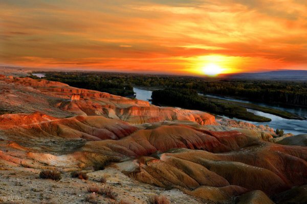 中原葡萄种植始于什么年代