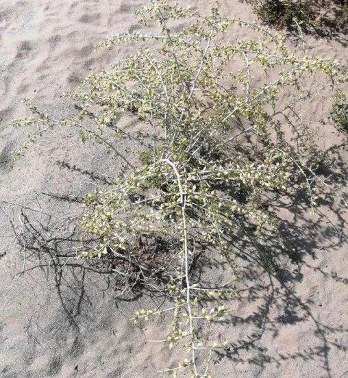 乌海是哪个省的城市