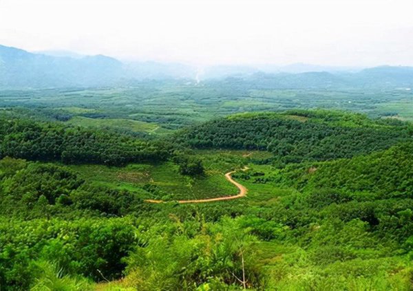 最直接鉴定陨石的方法