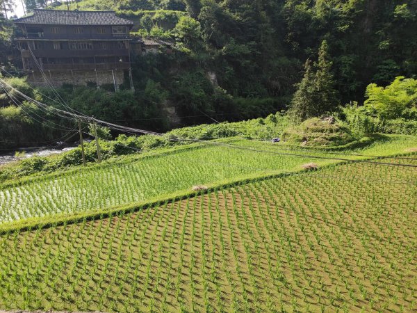 千户苗寨在贵州哪个市哪个县