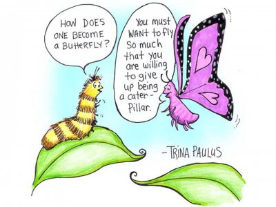 蝴蝶是不是昆虫类动物 蝴蝶会有毛毛虫时期的记忆吗