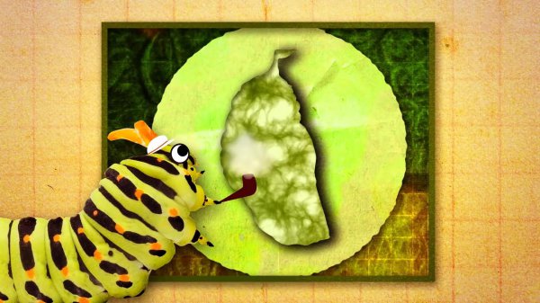 蝴蝶是不是昆虫类动物