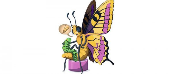 蝴蝶是不是昆虫类动物