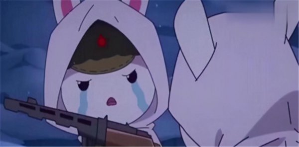 兔子指的是哪国家