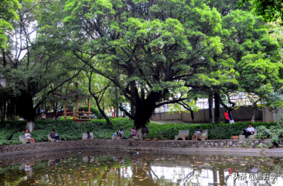 广东第二师范学院是一本还是二本 广东第二师范学院实力