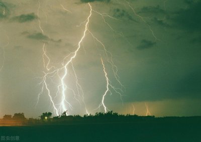 有趣的动物科普小知识大全 10个有趣的动物冷知识分享