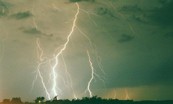 有趣的动物科普小知识大全