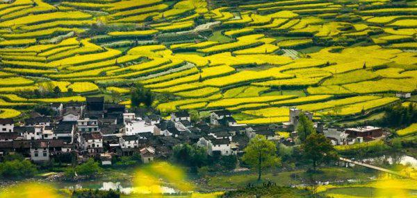 上饶有几个区和县