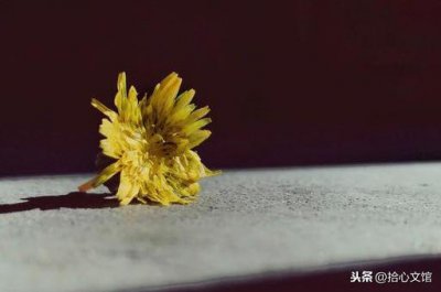 不信抬头看苍天饶过谁前一句 举头三尺有神明完整句