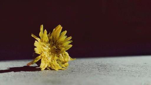 不信抬头看苍天饶过谁前一句