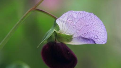 不信抬头看苍天饶过谁前一句