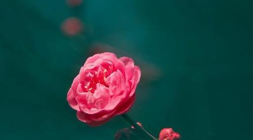 不信抬头看苍天饶过谁前一句