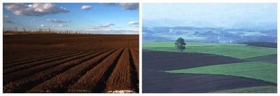 中国三大平原是哪三个 三大平原分别占据哪几个省的位置