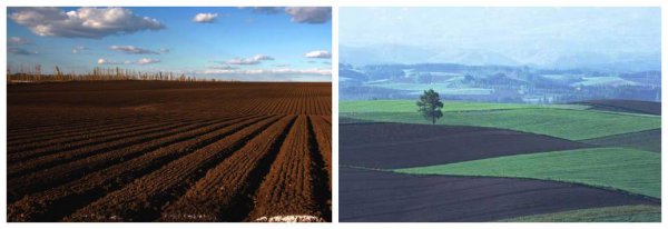 中国三大平原是哪三个